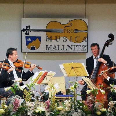 Mallnitzer Neujahrskonzert 2016