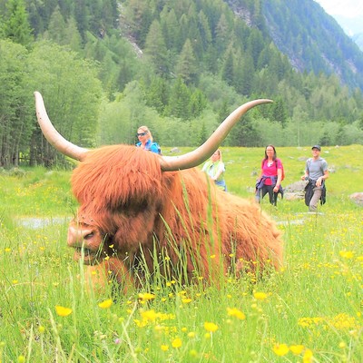 Sommer in Mallnitz