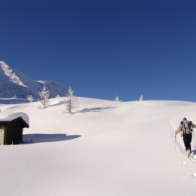 Tourenski auf der Häusleralm