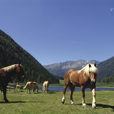 Seebachtal im Sommer