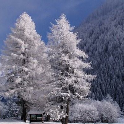 Winter in Mallnitz