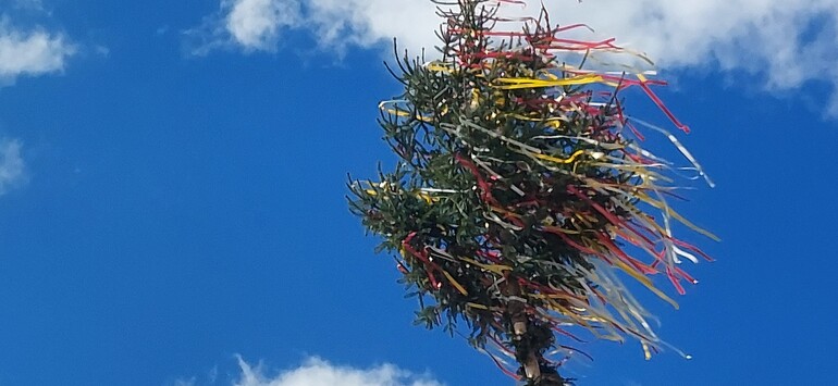Frühling in Mallnitz